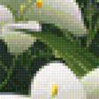 Предпросмотр схемы вышивки «Белые лилии» (№1126994)