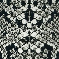 Схема вышивки «чешуя»