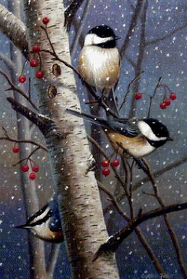 Птички - птицы, березы, синички - предпросмотр