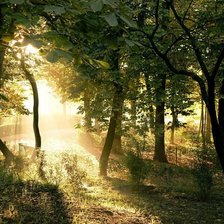 Схема вышивки «скверик»