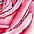 Предпросмотр схемы вышивки «роза нежная» (№1127778)