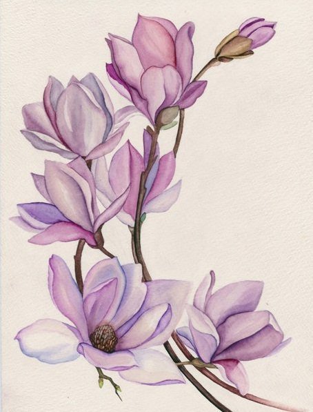 цветы - оригинал