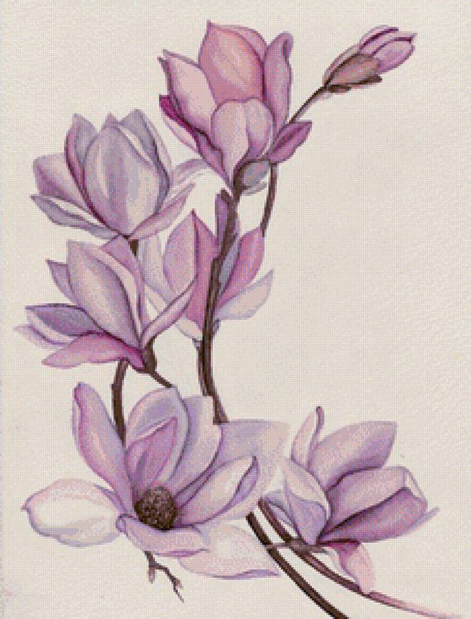 цветы - предпросмотр