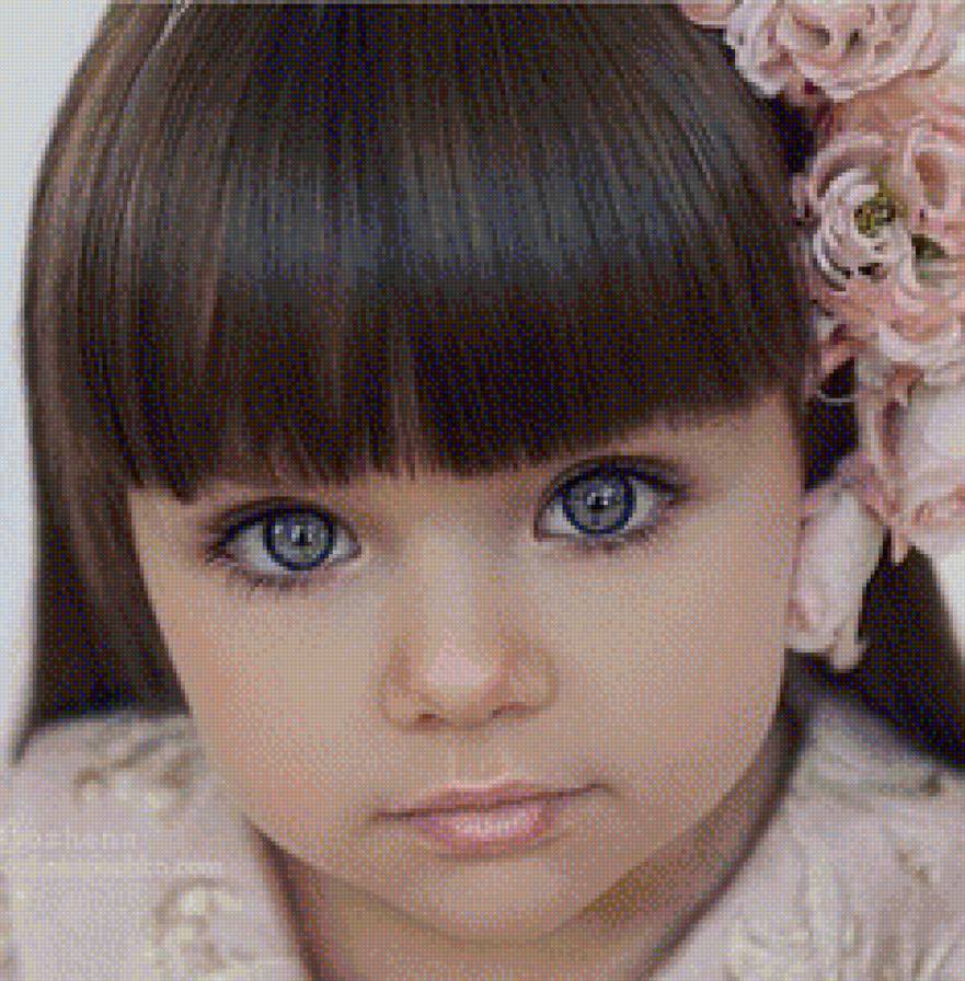 №1128058 - предпросмотр