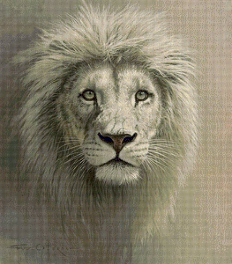 №1128384 - предпросмотр