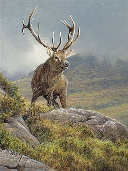 №1128415 - оригинал