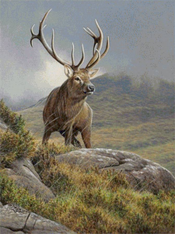 №1128415 - предпросмотр