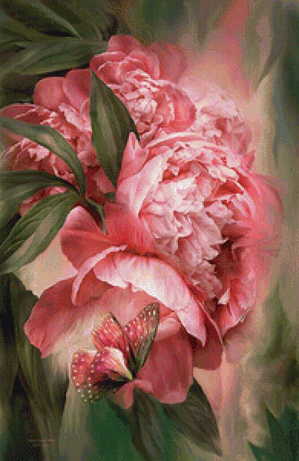 пионы - цветы - предпросмотр