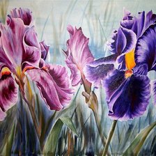 Схема вышивки «ирисы»