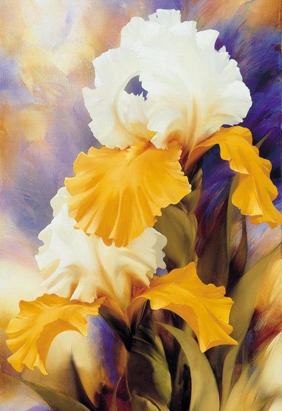 ирисы - цветы - оригинал