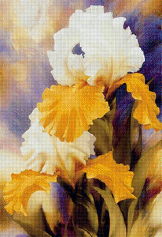 ирисы - цветы - предпросмотр