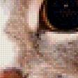 Предпросмотр схемы вышивки «Котик» (№1128634)