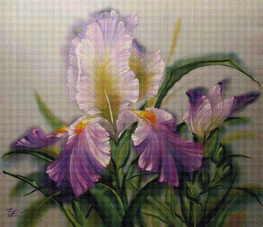 ирисы - цветы - предпросмотр