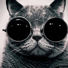 Схема вышивки «Котейка в очках»