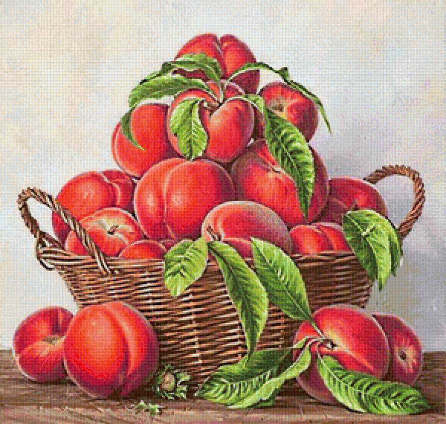 Натюрморт с персиками - наюрморт, персики, фрукты - предпросмотр