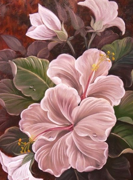 Гибискус - цветы, цветок, букет - оригинал