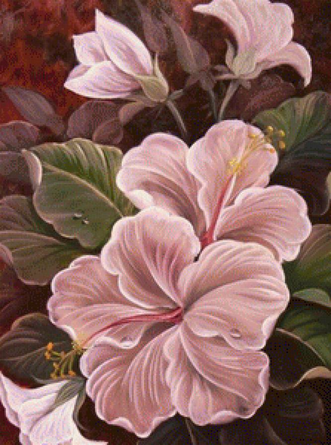 Гибискус - цветок, цветы, букет - предпросмотр