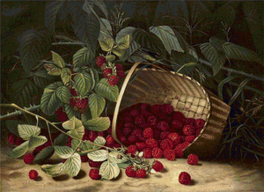 Малина - ягоды, натюрморт, малина - предпросмотр