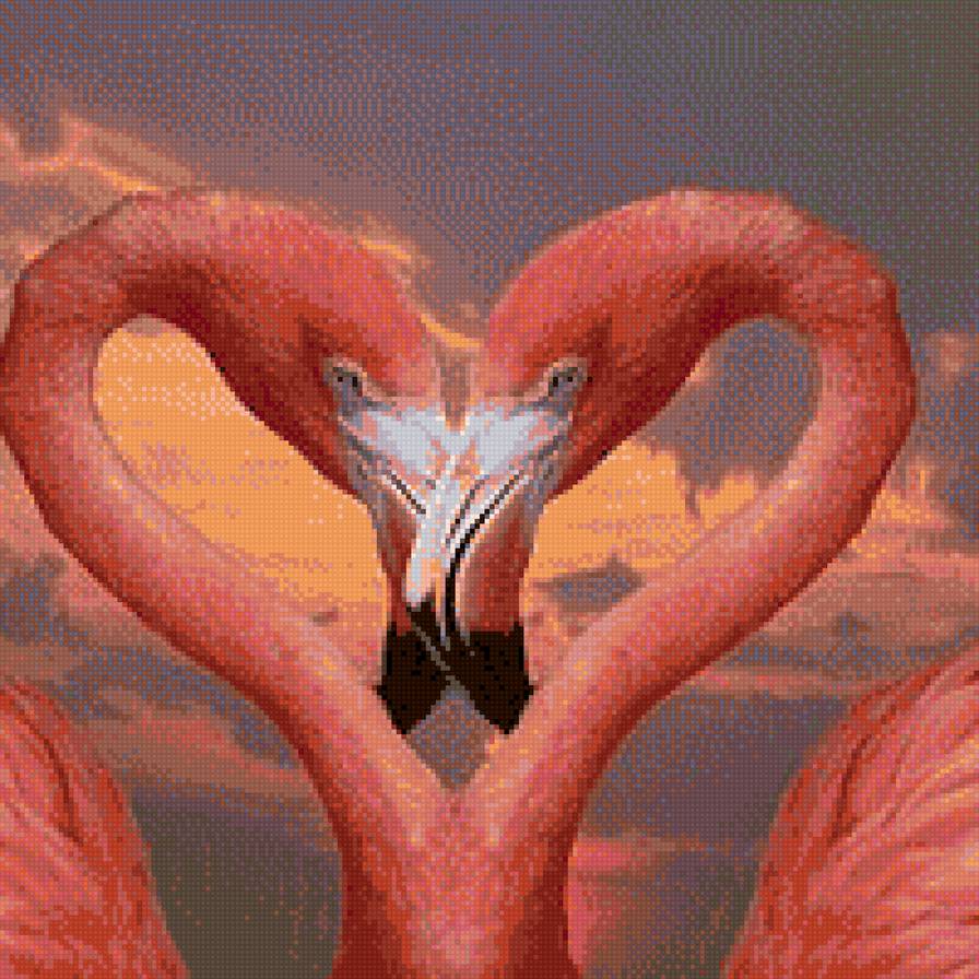 фламинго - предпросмотр