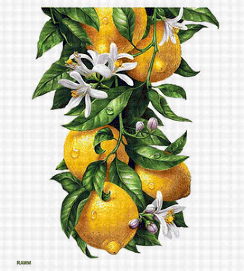 №1129216 - предпросмотр