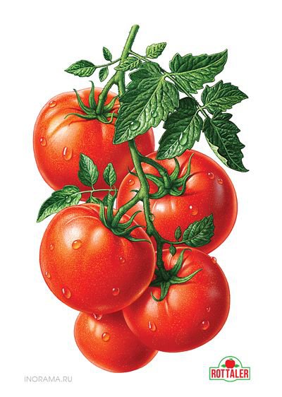 №1129226 - оригинал