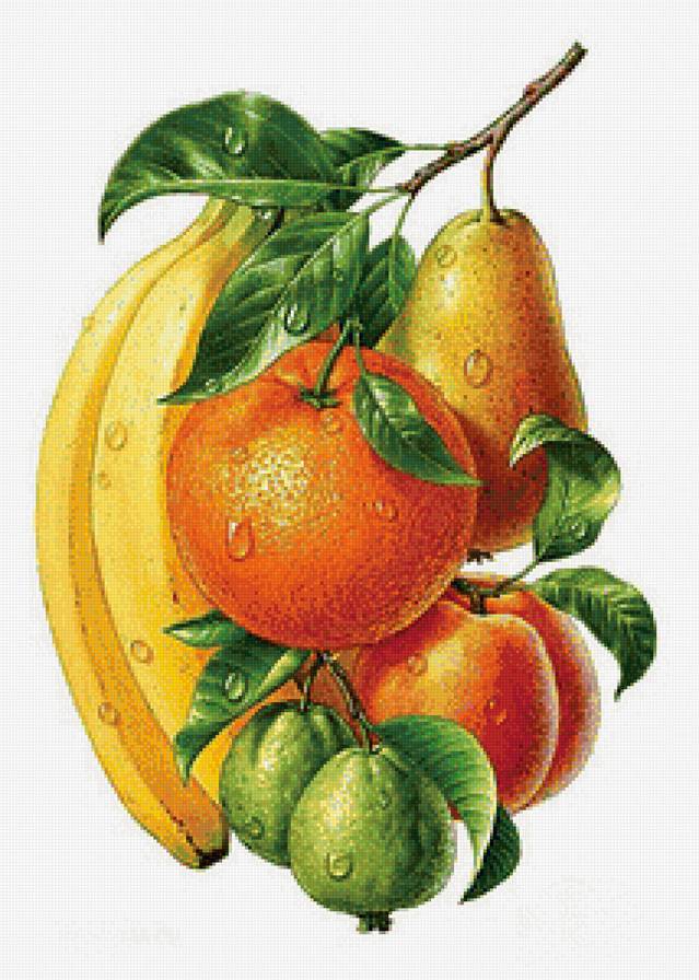 Серия "На кухню" - фрукты, на кухню, банан, апельсин, натюрморт - предпросмотр