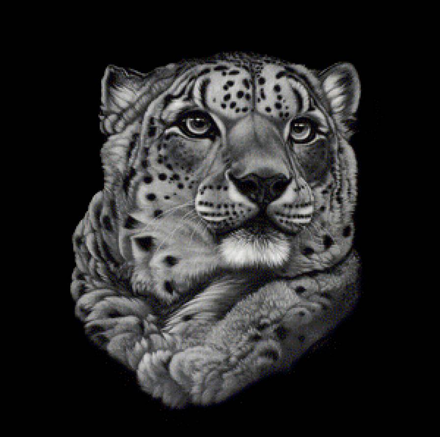 Барс - предпросмотр