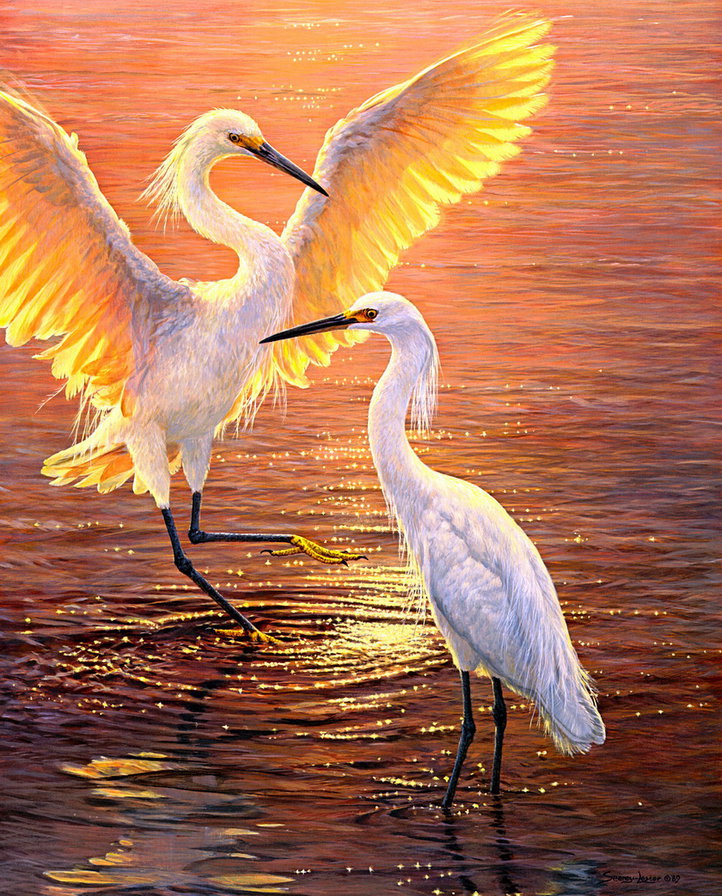 №1129827 - птицы, журавли - оригинал