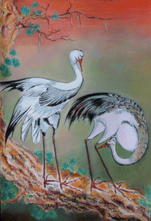 №1129834 - птицы, япония, журавли - предпросмотр