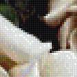 Предпросмотр схемы вышивки «цветы» (№1129941)