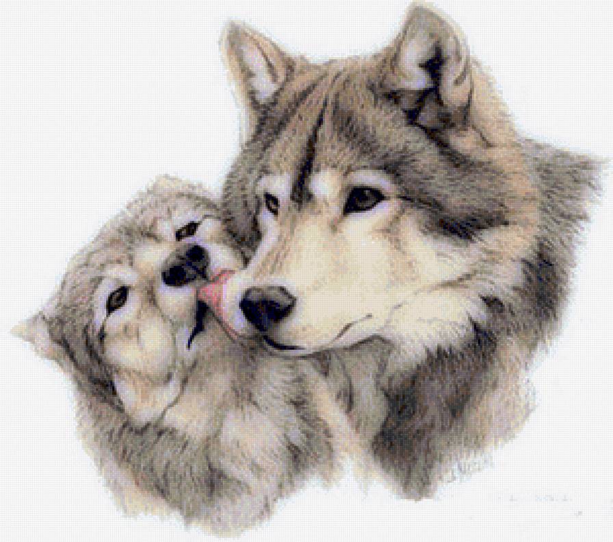 Нежность - животные, волк, волки - предпросмотр