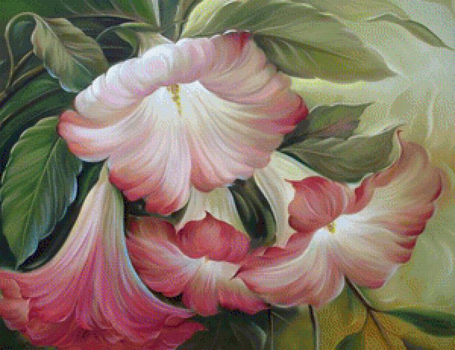 Вьюнки - цветы, цветок, букет - предпросмотр