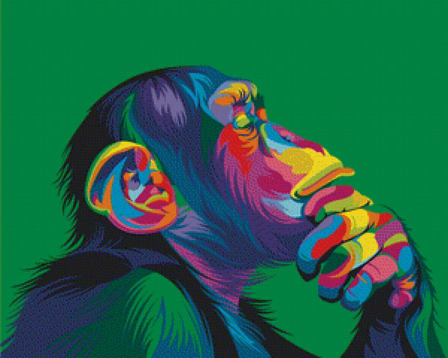 Радужная обезьяна - животное, обезьяна, цвет - предпросмотр