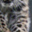 Предпросмотр схемы вышивки «Амурский леопард» (№1130255)