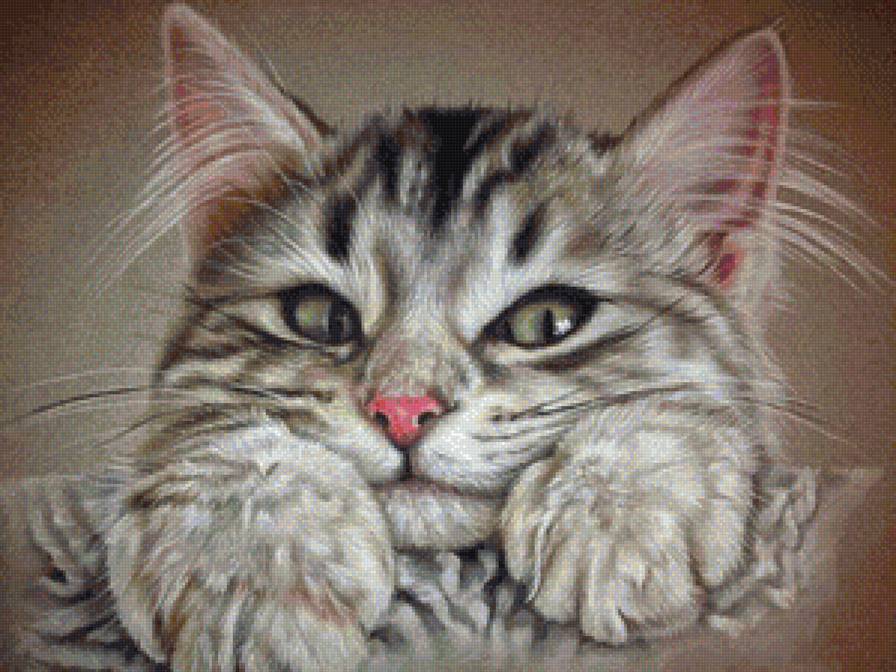 котик - коты, животные - предпросмотр