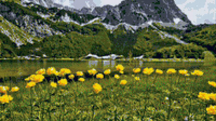 Желтые тюльпаны - нежные - предпросмотр