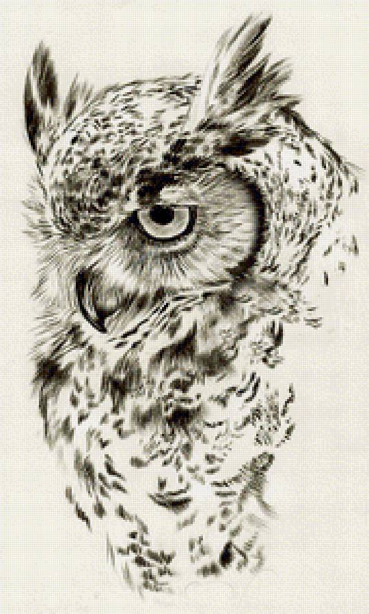 37 - предпросмотр