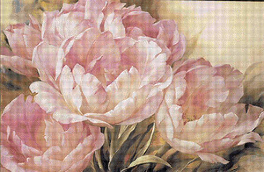 махровые тюльпаны - предпросмотр