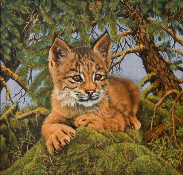 маленький рысенок - рысь, хищник - оригинал