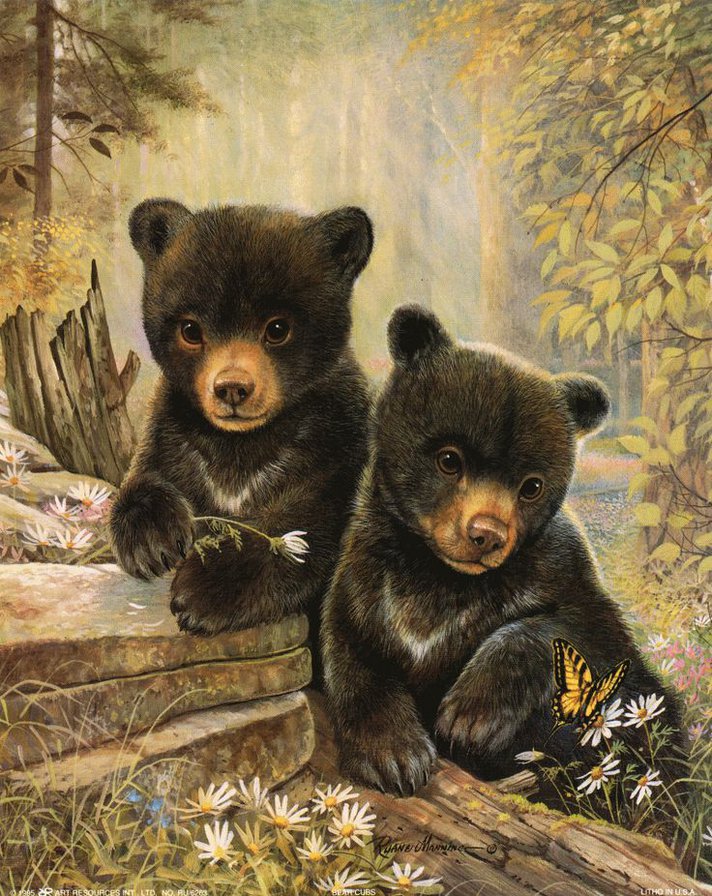 мишки - оригинал