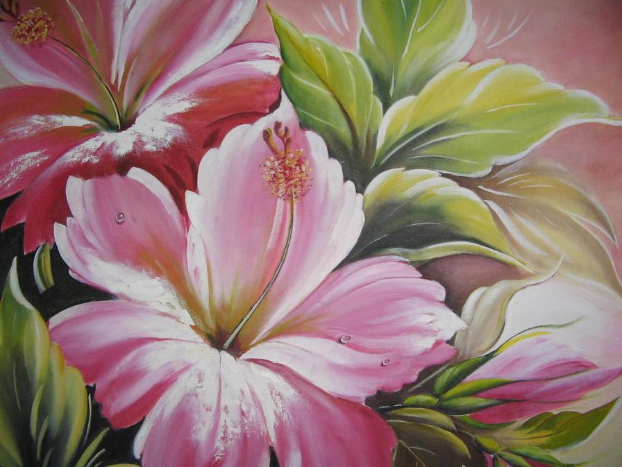 Гибискус - цветок, цветы, букет - оригинал