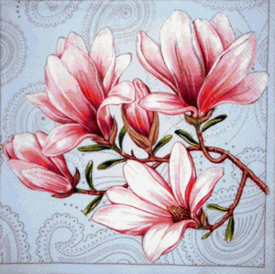 Магнолия - цветы - предпросмотр