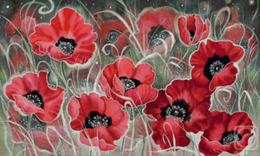 Маки - цветы - предпросмотр