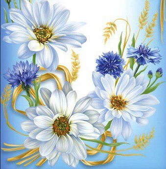 Васильки - цветы - оригинал