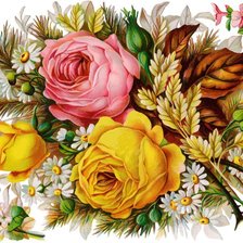 Схема вышивки «Розы»