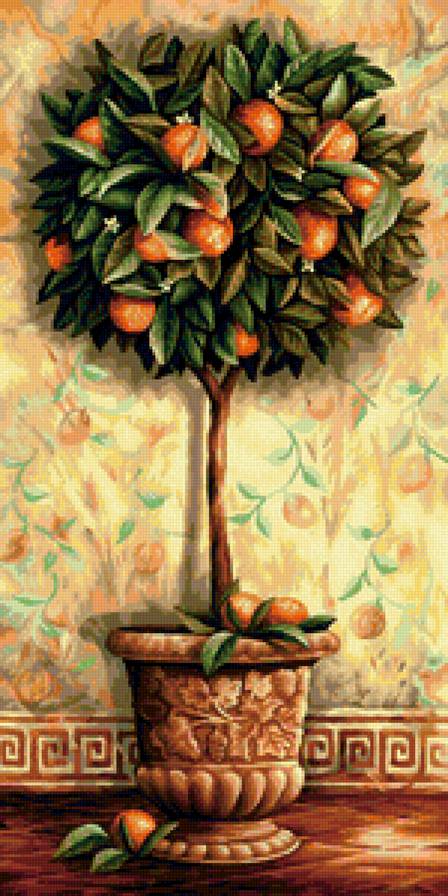 Апельсиновое дерево - апельсин, картина, дерево - предпросмотр