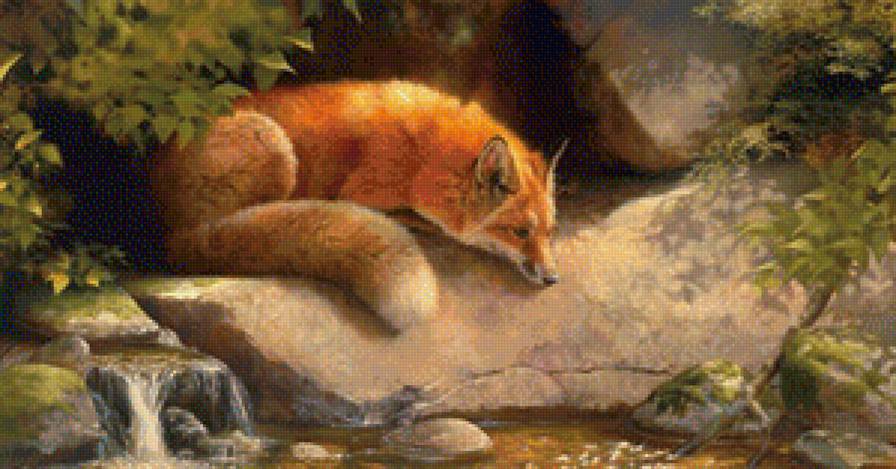 Лиса у реки - лиса, река - предпросмотр