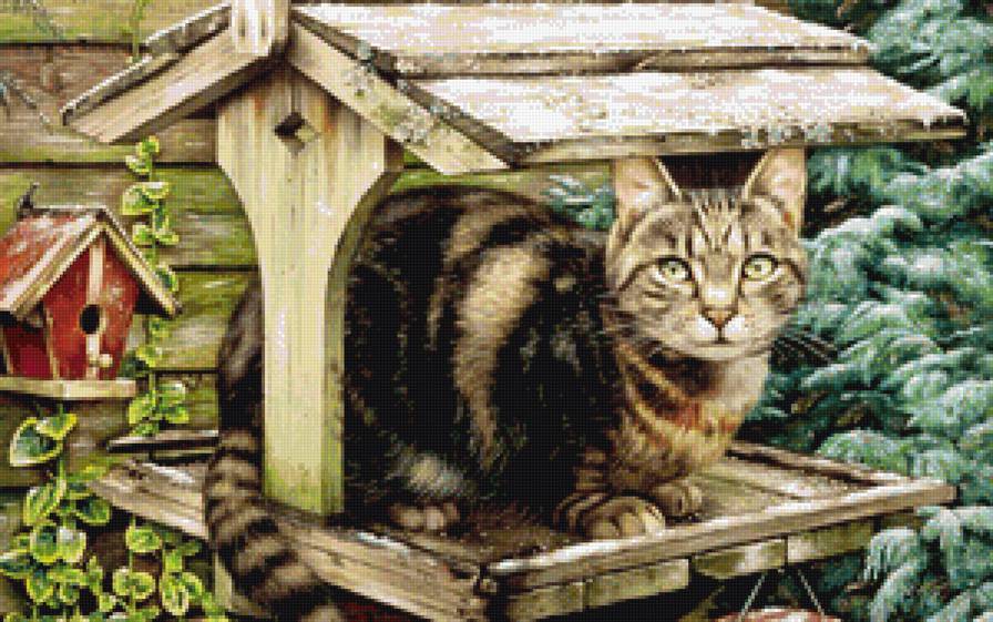 Кот - коты, кошка, картина, домашние любимцы, котенок, животные - предпросмотр