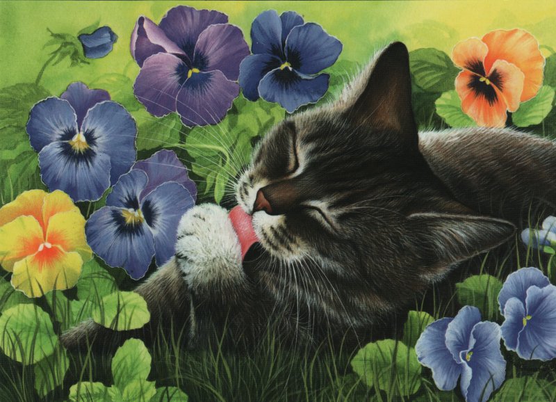 Кот и маргаритки - домашние любимцы, гармашова, кот, животные, картина, цветы - оригинал