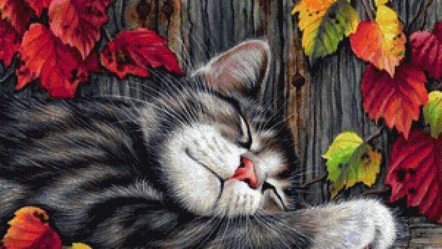 Сладкий сон - коты - предпросмотр